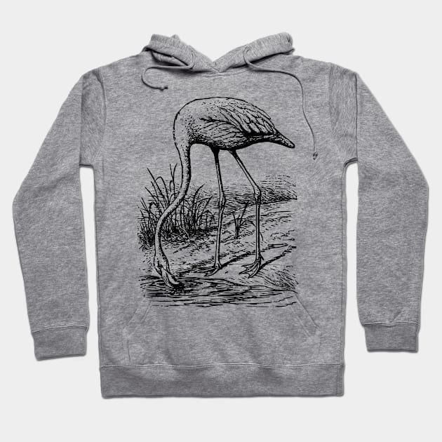 Vintage Flamingo bird. Hoodie by LeonLedesma